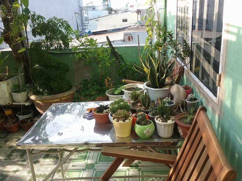 Nha Minh Homestay Da Nang Luaran gambar